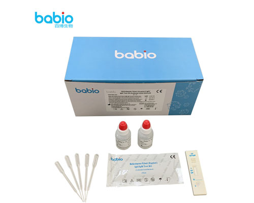 Helicobacter pylori (H.pylori) IgG/ IgM Test Kiti Test Proseduru