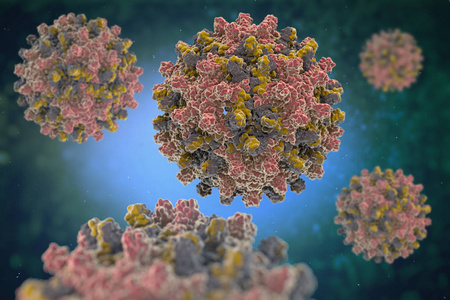HEV IGM Rapid Test: Hepatit e diaqnozunda yolun aparılması
