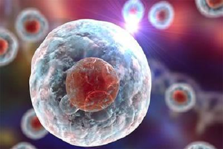 Babio, inkişaf etmiş sitogenetik və hematoloji diaqnostika üçün yüksək keyfiyyətli Giemsa Stain B həllini təqdim edir