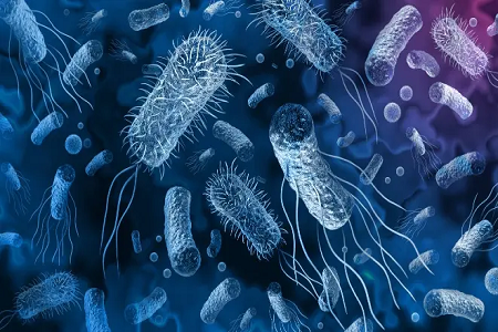 Babio vibrio xolerae sürətli antigen aşkarlama dəstini təqdim edir