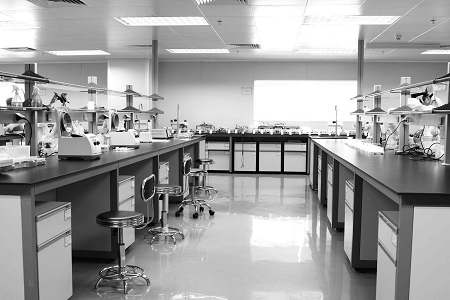 Babio Salmonella Shigella Agar: Qida təhlükəsizliyi və klinik diaqnostika üçün etibarlı orta