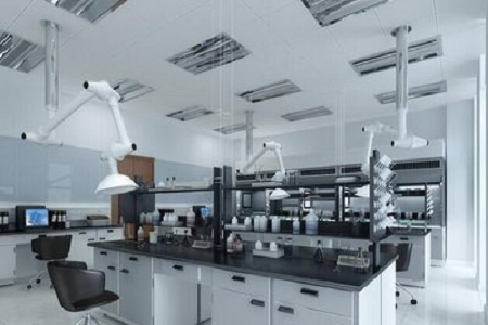 Sürətli bakteriya üçün yüksək keyfiyyətli GC Agar bazası - Babio