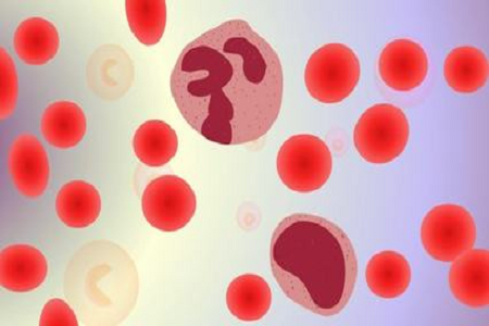 BABIO Qlobal Bazarlar üçün HBcAb Hepatit B Core Ab Rapid Testini işə salır