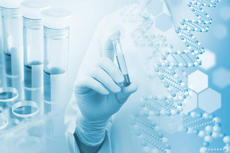 H. pylori IgG/IgM Test Kiti: Sürətli Antikor Skrininq Həlli