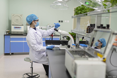 Tamponlu Pepton Suyu: Salmonella Testi üçün Etibarlı Başlanğıc